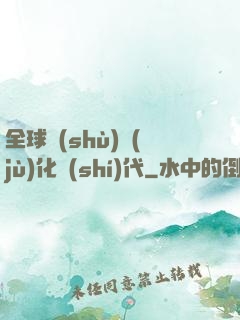 全球數(shù)據(jù)化時(shí)代
