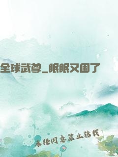 全球武尊