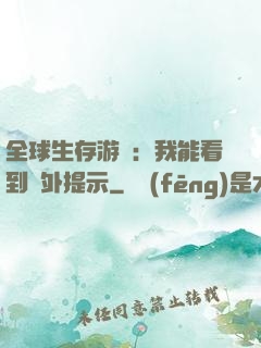 全球生存游戲：我能看到額外提示