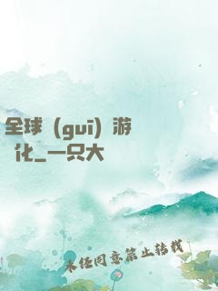 全球規(guī)則游戲化