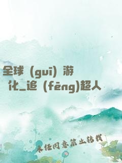 全球規(guī)則游戲化