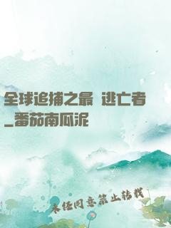 全球追捕之最強逃亡者