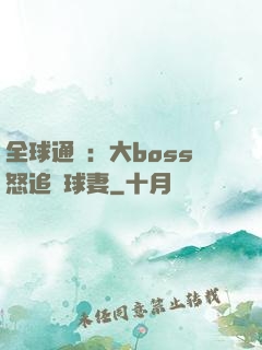 全球通緝：大boss怒追帶球妻