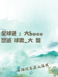 全球通緝：大boss怒追帶球妻