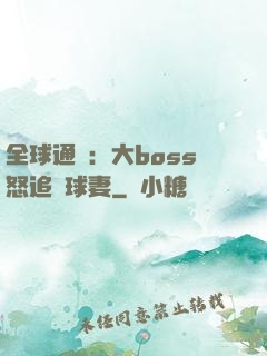 全球通緝：大boss怒追帶球妻