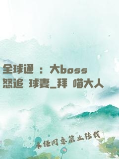 全球通緝：大boss怒追帶球妻