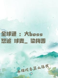 全球通緝：大boss怒追帶球妻