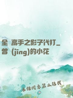 全職高手之影子代打