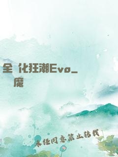 全進化狂潮Evo