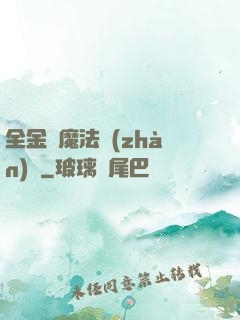 全金屬魔法戰(zhàn)記