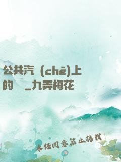 公共汽車(chē)上的輪桿