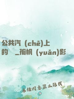 公共汽車(chē)上的輪桿