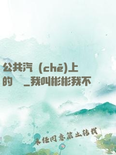 公共汽車(chē)上的輪桿