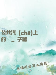 公共汽車(chē)上的輪桿