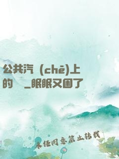 公共汽車(chē)上的輪桿