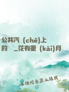 公共汽車(chē)上的輪桿