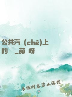 公共汽車(chē)上的輪桿