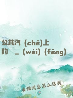 公共汽車(chē)上的輪桿