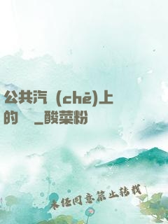 公共汽車(chē)上的輪桿