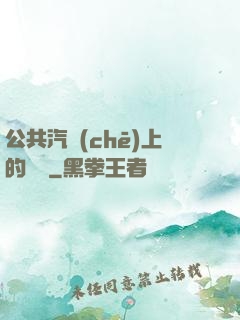 公共汽車(chē)上的輪桿