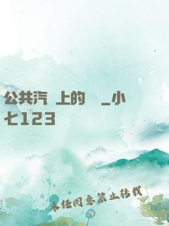 公共汽車上的輪桿
