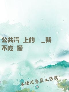 公共汽車上的輪桿