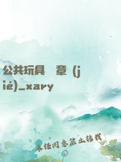 公共玩具閱讀章節(jié)