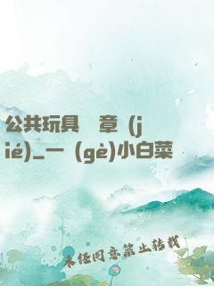 公共玩具閱讀章節(jié)