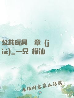 公共玩具閱讀章節(jié)