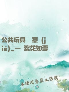 公共玩具閱讀章節(jié)