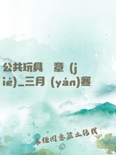 公共玩具閱讀章節(jié)