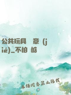 公共玩具閱讀章節(jié)