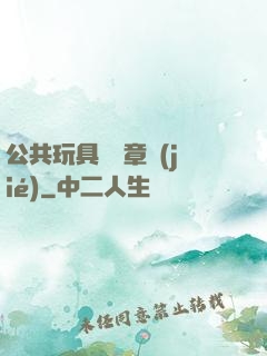 公共玩具閱讀章節(jié)