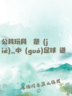 公共玩具閱讀章節(jié)