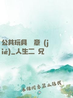 公共玩具閱讀章節(jié)