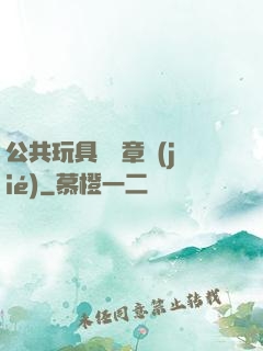 公共玩具閱讀章節(jié)