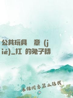 公共玩具閱讀章節(jié)