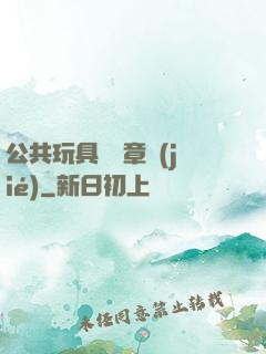 公共玩具閱讀章節(jié)