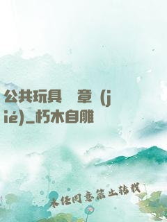 公共玩具閱讀章節(jié)