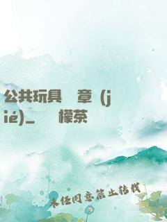 公共玩具閱讀章節(jié)