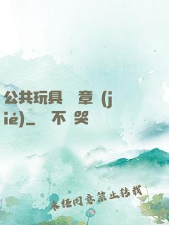 公共玩具閱讀章節(jié)