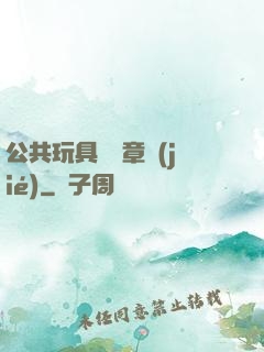 公共玩具閱讀章節(jié)