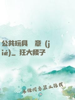 公共玩具閱讀章節(jié)