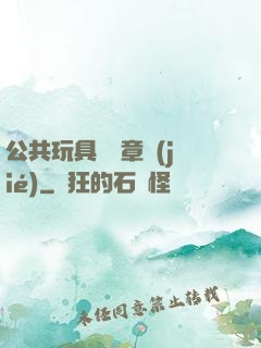 公共玩具閱讀章節(jié)
