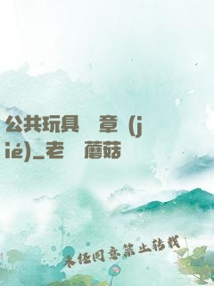 公共玩具閱讀章節(jié)