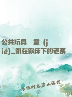 公共玩具閱讀章節(jié)