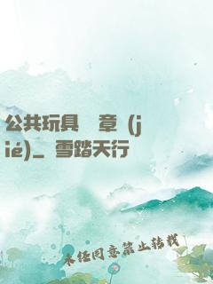 公共玩具閱讀章節(jié)