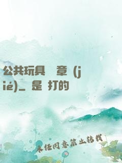 公共玩具閱讀章節(jié)