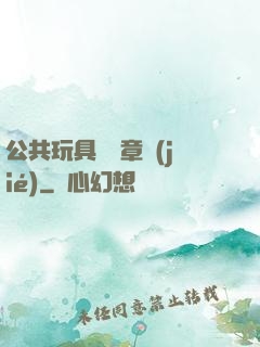 公共玩具閱讀章節(jié)