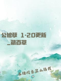 公媳孽緣1-20更新時間